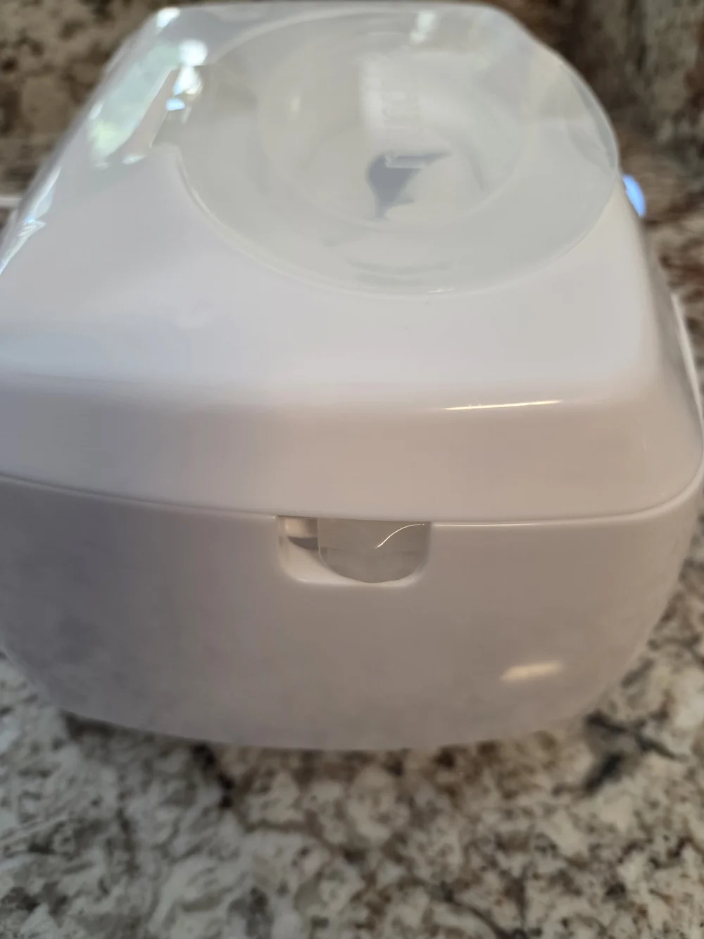 Munchkin sleek white
